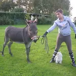 Et Relais Equestre De Marie Vakantiehuis
