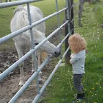 Et Relais Equestre De Marie *