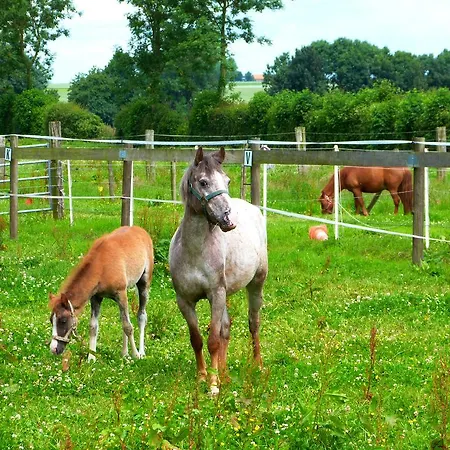 Et Relais Equestre De Marie * Tours-en-Vimeu