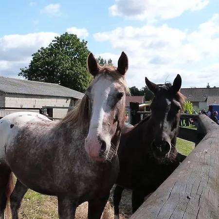 Et Relais Equestre De Marie * Tours-en-Vimeu