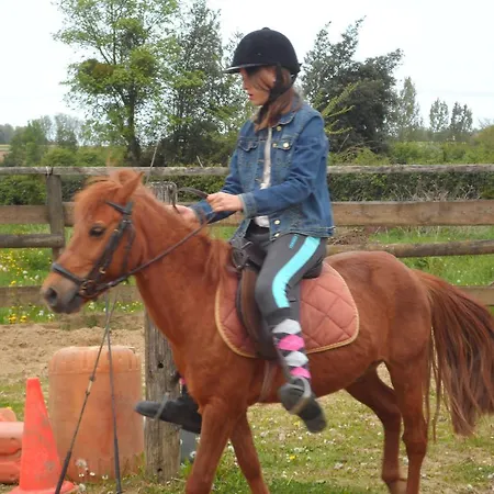 Et Relais Equestre De Marie Holiday home Tours-en-Vimeu