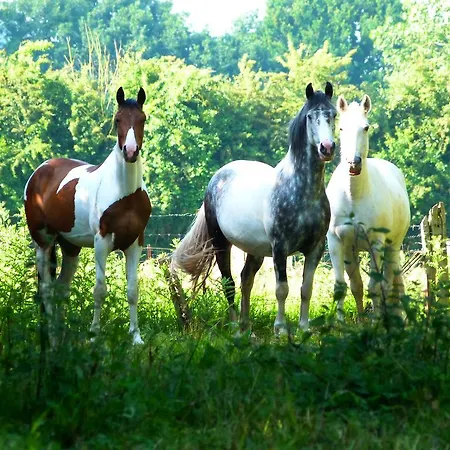 Et Relais Equestre De Marie * Tours-en-Vimeu