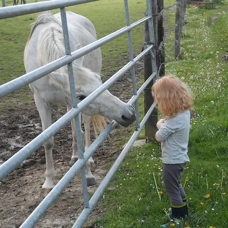 Et Relais Equestre De Marie *