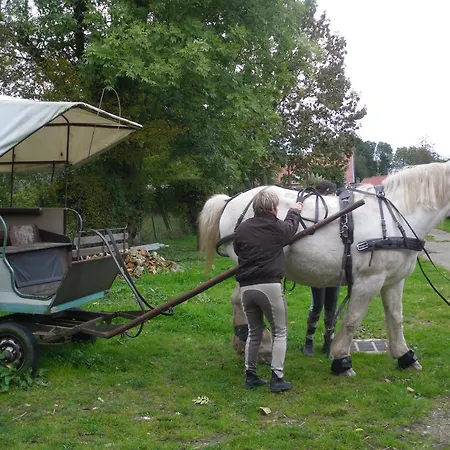 Casa de Férias Et Relais Equestre De Marie Tours-en-Vimeu