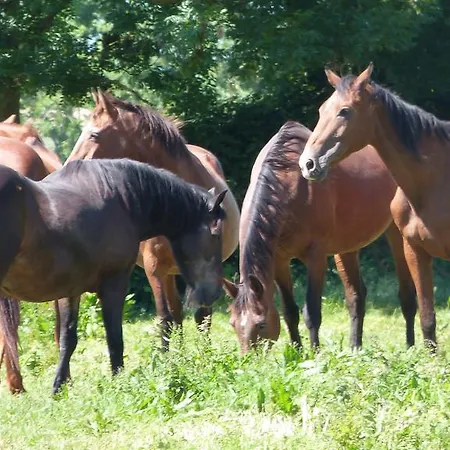 Vakantiehuis Et Relais Equestre De Marie *