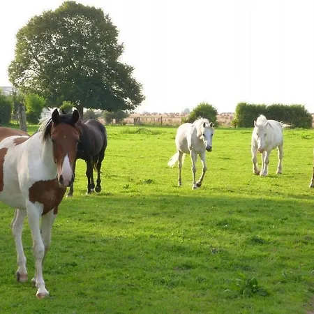 Et Relais Equestre De Marie * Tours-en-Vimeu