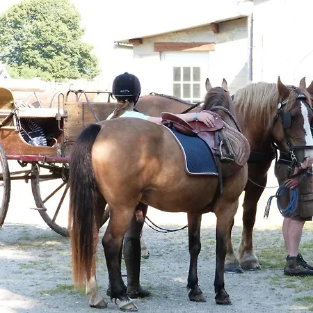 Et Relais Equestre De Marie *