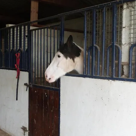 Et Relais Equestre De Marie Tours-en-Vimeu