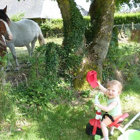 Et Relais Equestre De Marie Tours-en-Vimeu