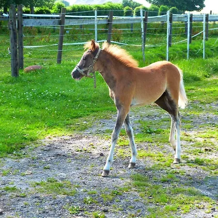 Et Relais Equestre De Marie Holiday home