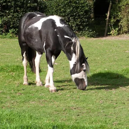 Et Relais Equestre De Marie